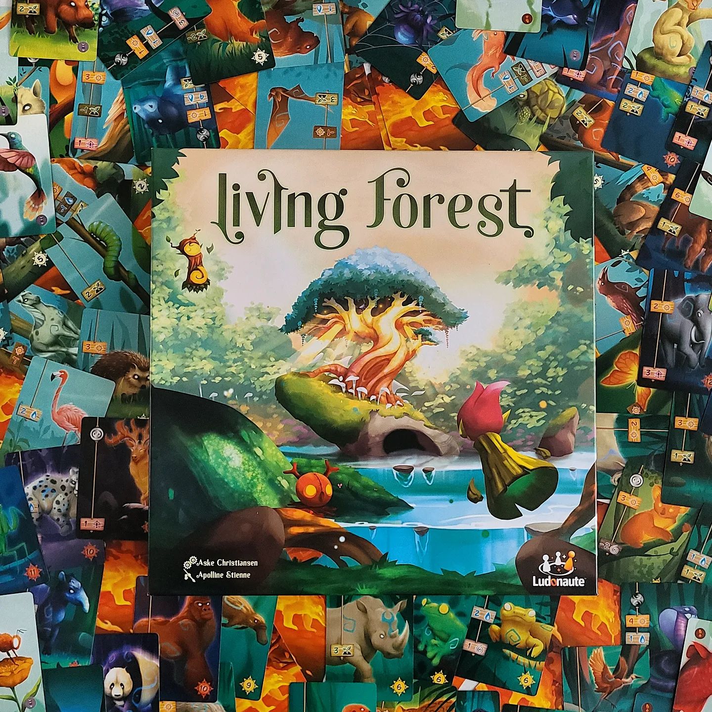 living forest jeu initié foret féérique ludonaute